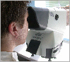 wpcd2a353a_02.jpg